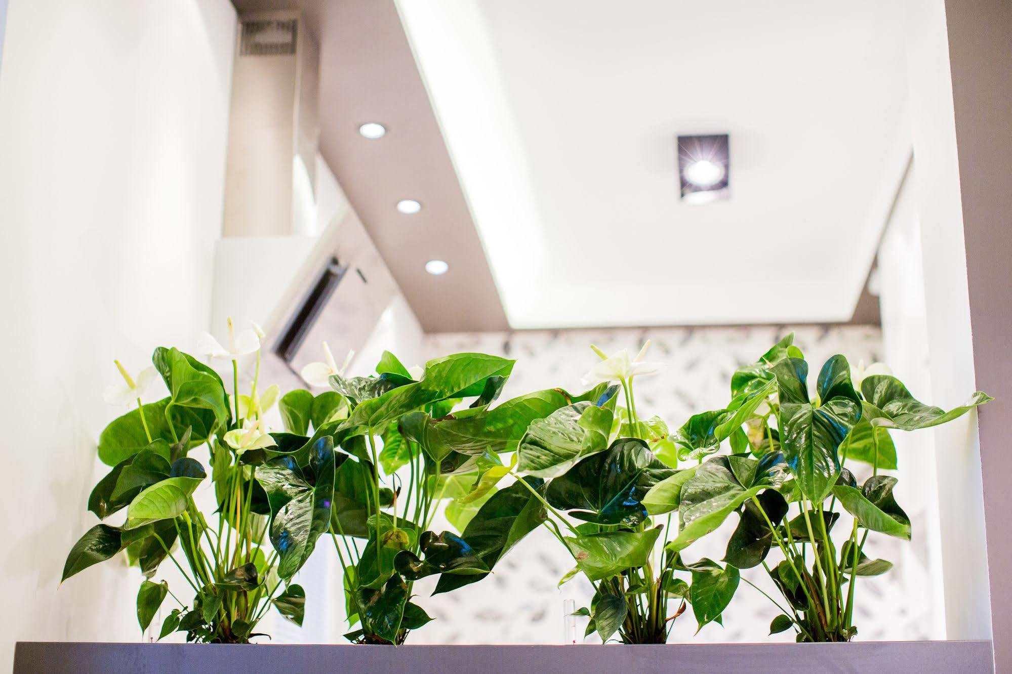 Mojito Apartments - Botanica ヴロツワフ エクステリア 写真